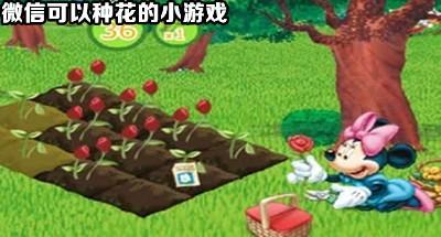微信里种花养花的小游戏合集