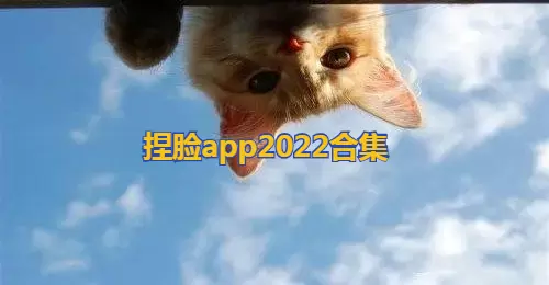 捏脸app合集